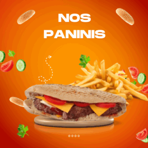 Paninis